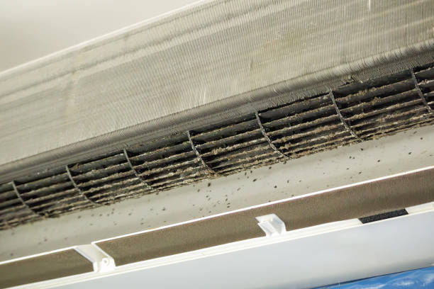 Best Duct Cleaning for Homes  in Fort Lewis, WA